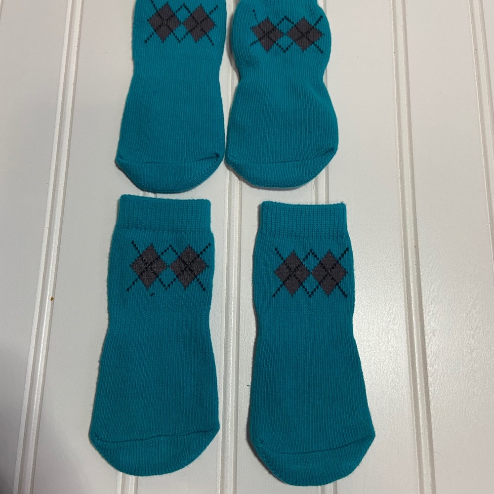 RC Dog Socks